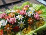 вкусные и красивые салаты